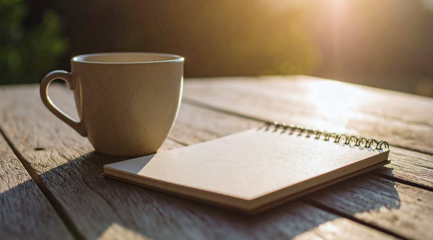 A Mid-Year Reflection From Trans Recovery Supply (2020)