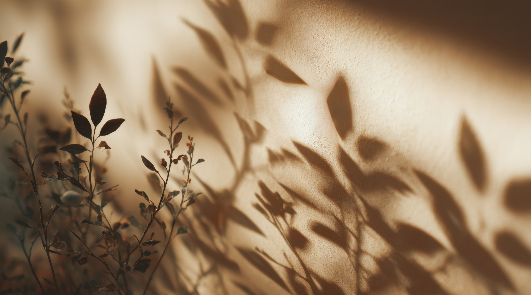 A Mid-Year Reflection From Trans Recovery Supply (2021)