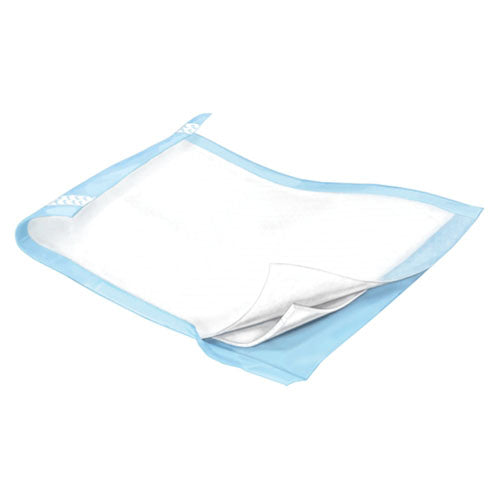 Secure Personal Care Products TotalDry Underpads, 30" x 36", pack of 10
